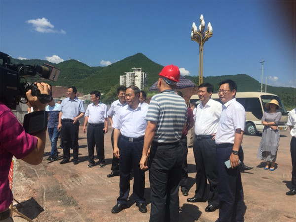 市委蒋书记一行视察工程建设