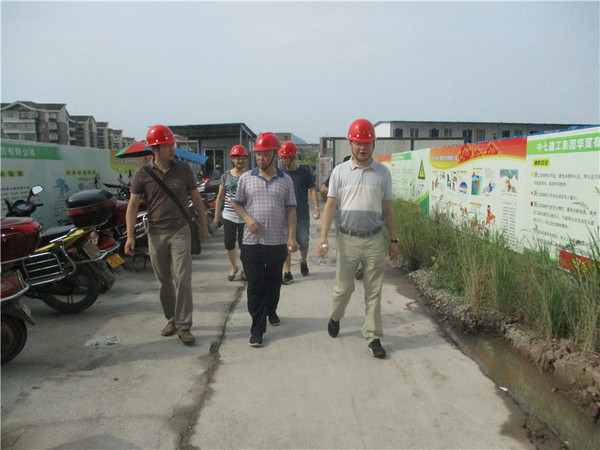 住建朱局长一行到人医项目检查指导
